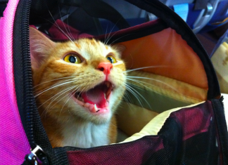 How to Get a Hellcat Into a Carrier