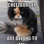 burgercat