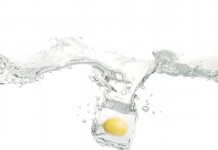 Two Ingredients To Clean Yo Stank Garbage Disposal