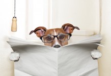 The Healthy Culprit of Constipation