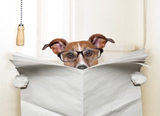 The Healthy Culprit of Constipation