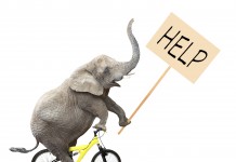 Dear Chronic UTI Sufferer