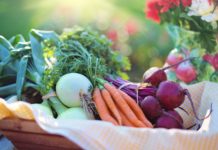 The Healthy Cause of Your IBS Vegetables in basket