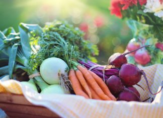 The Healthy Cause of Your IBS Vegetables in basket