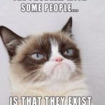Grumpy cat people exist