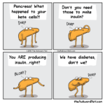 Pancreas Awk Yeti
